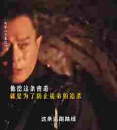 《寻秦记》：不是完美电影，却是完美的青春告别礼(图8)