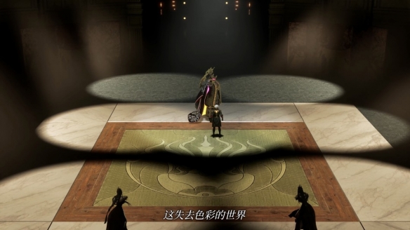 《噬血代码2》泽农角色预告片：身披金铠 气场强大！(图5)