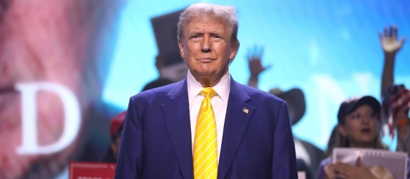 特朗普“客串”《星露谷物语》 白宫发帖引爆网络 - Tanyitan情报局