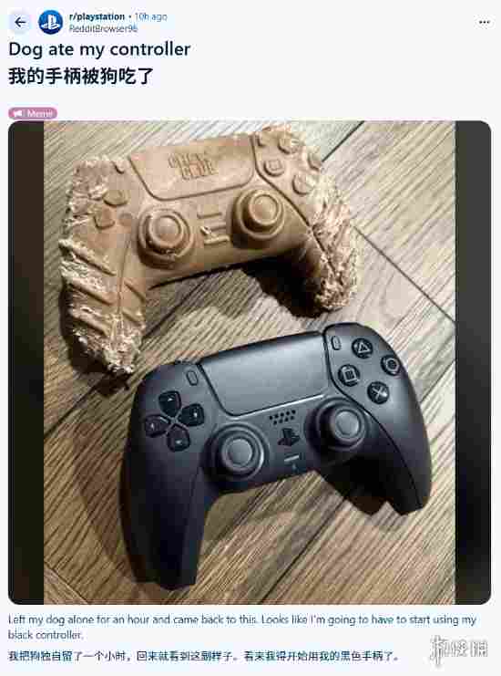 Reddit网友分享“PS5手柄”被自家狗狗撕咬后的惨状 - Tanyitan情报局