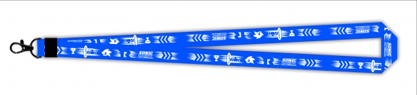 《索尼克赛车 交叉世界》亚洲巡回赛上海总决赛1月31日热力开赛! 线上线下联动,上演竞速狂欢(图16) 《索尼克赛车 交叉世界》亚洲巡回赛上海总决赛1月31日热力开赛! 线上线下联动,上演竞速狂欢(图16)