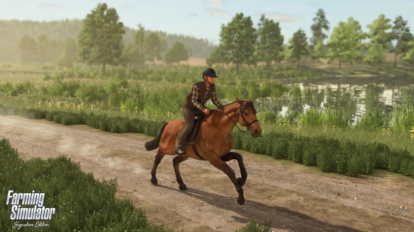 NS2《Farming Simulator: Signature Edition》今日发售! 发售纪念宣传片同步公开(图4) NS2《Farming Simulator: Signature Edition》今日发售! 发售纪念宣传片同步公开(图4)