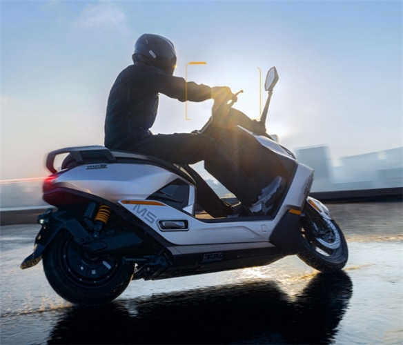 九号三冠领衔鲁大师2025年度电动两轮车榜，智能化赛道格局初显(图5)