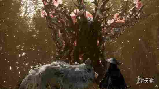 《轮回之兽》战斗走硬核混合路线 而非宝可梦回合制！(图2)