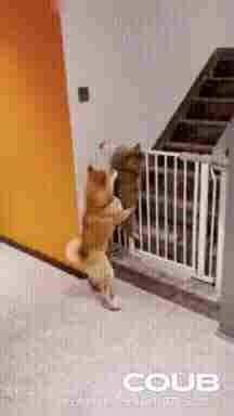 这一字马的大纤腿! 动图 俏皮小姐姐怎么专学攻下三路(图2) 这一字马的大纤腿! 动图 俏皮小姐姐怎么专学攻下三路(图2)