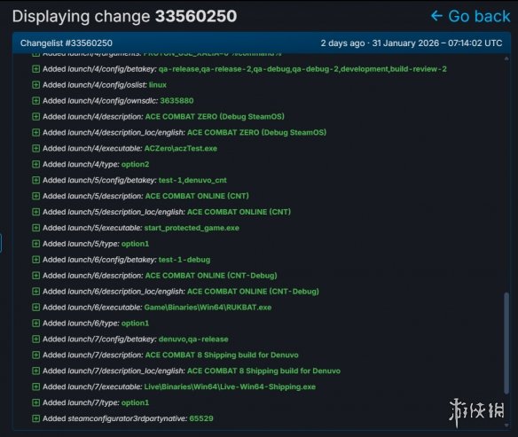 又一款大作沦陷？SteamDB泄露《皇牌空战8》有D加密(图2)