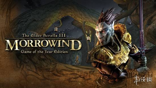 拉瑞安工作室发行总监认为《上古卷轴3》重制版有搞头 - Tanyitan情报局