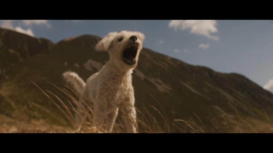 超狗小氪海报公布 《超女：明日之女》新预告曝光(图1)