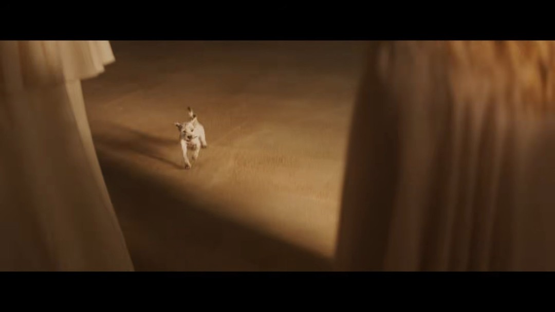 超狗小氪海报公布 《超女：明日之女》新预告曝光(图4)