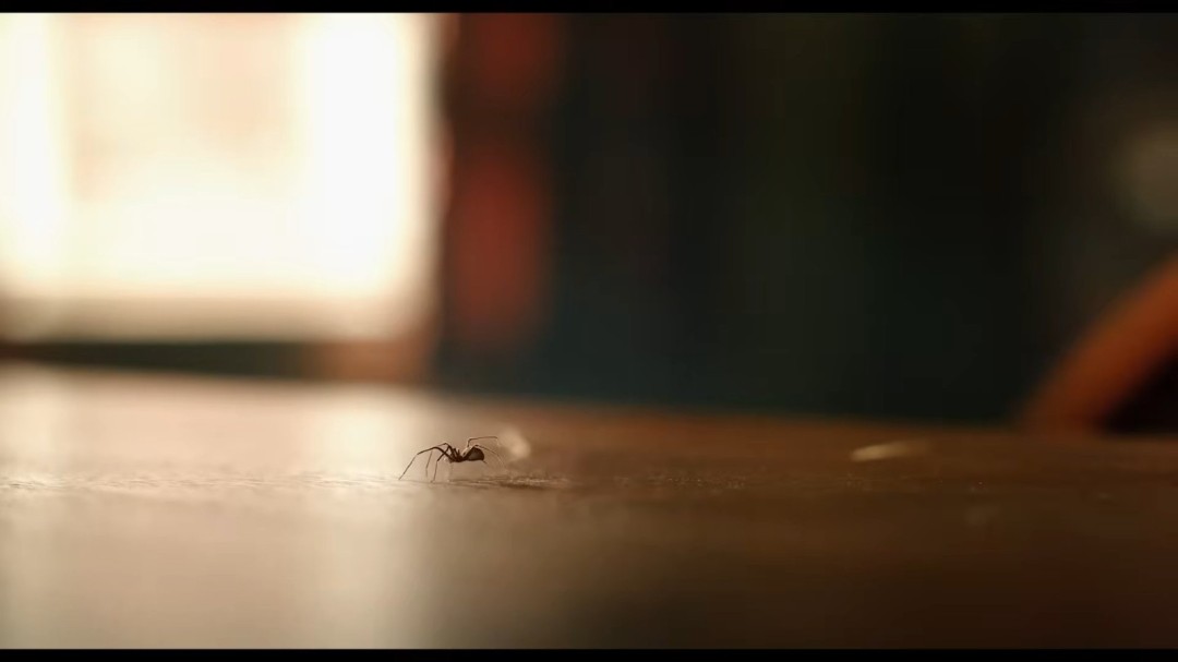 凯奇主演《暗影蜘蛛侠》预告片公开 5月25日上线(图6)