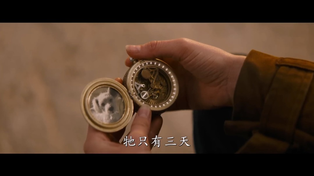 DC电影《超级少女》新预告 又是为了一只狗大杀四方(图15) DC电影《超级少女》新预告 又是为了一只狗大杀四方(图15)