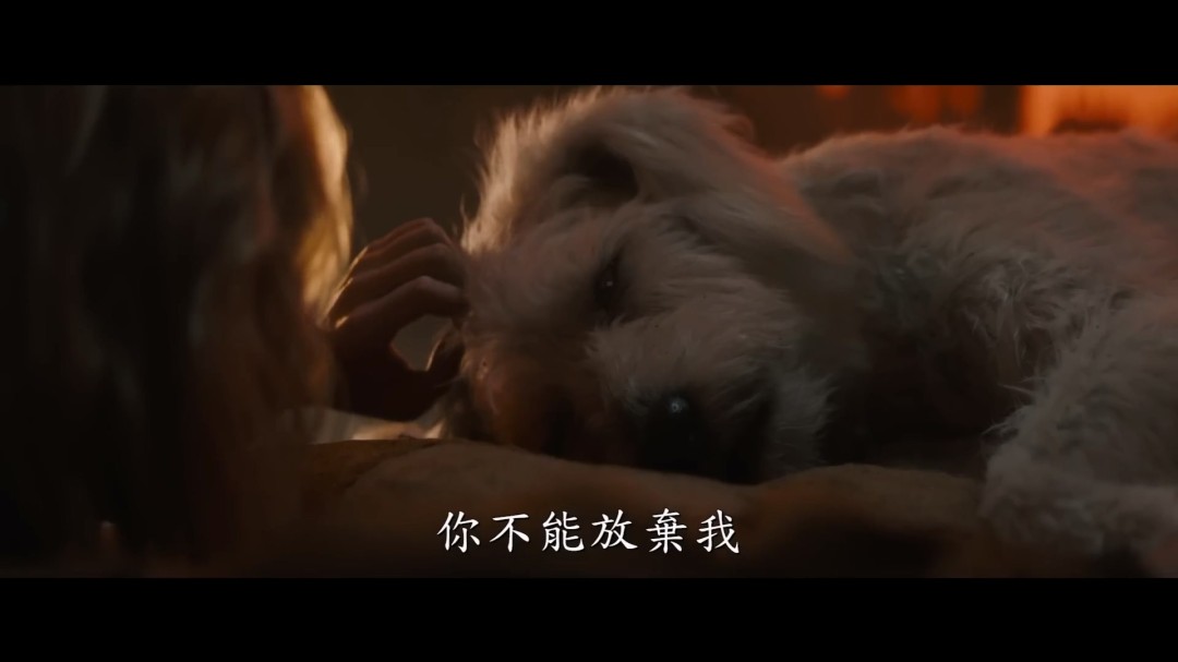 DC电影《超级少女》新预告 又是为了一只狗大杀四方(图16) DC电影《超级少女》新预告 又是为了一只狗大杀四方(图16)