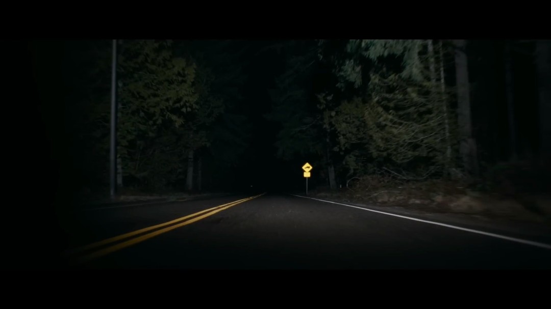 胆子小别看！《验尸官》导演恐怖新片《鬼上车》首曝预告(图4)